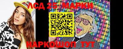 гашик Кандалакша
