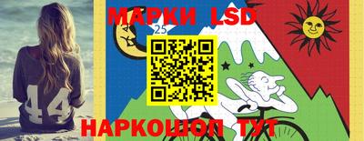 гашик Кандалакша