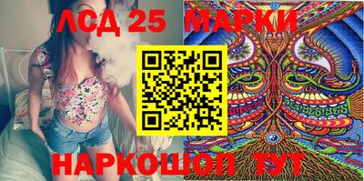 гашик Кандалакша